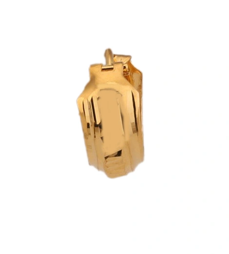 The GTT021519018 Gold Earrings
