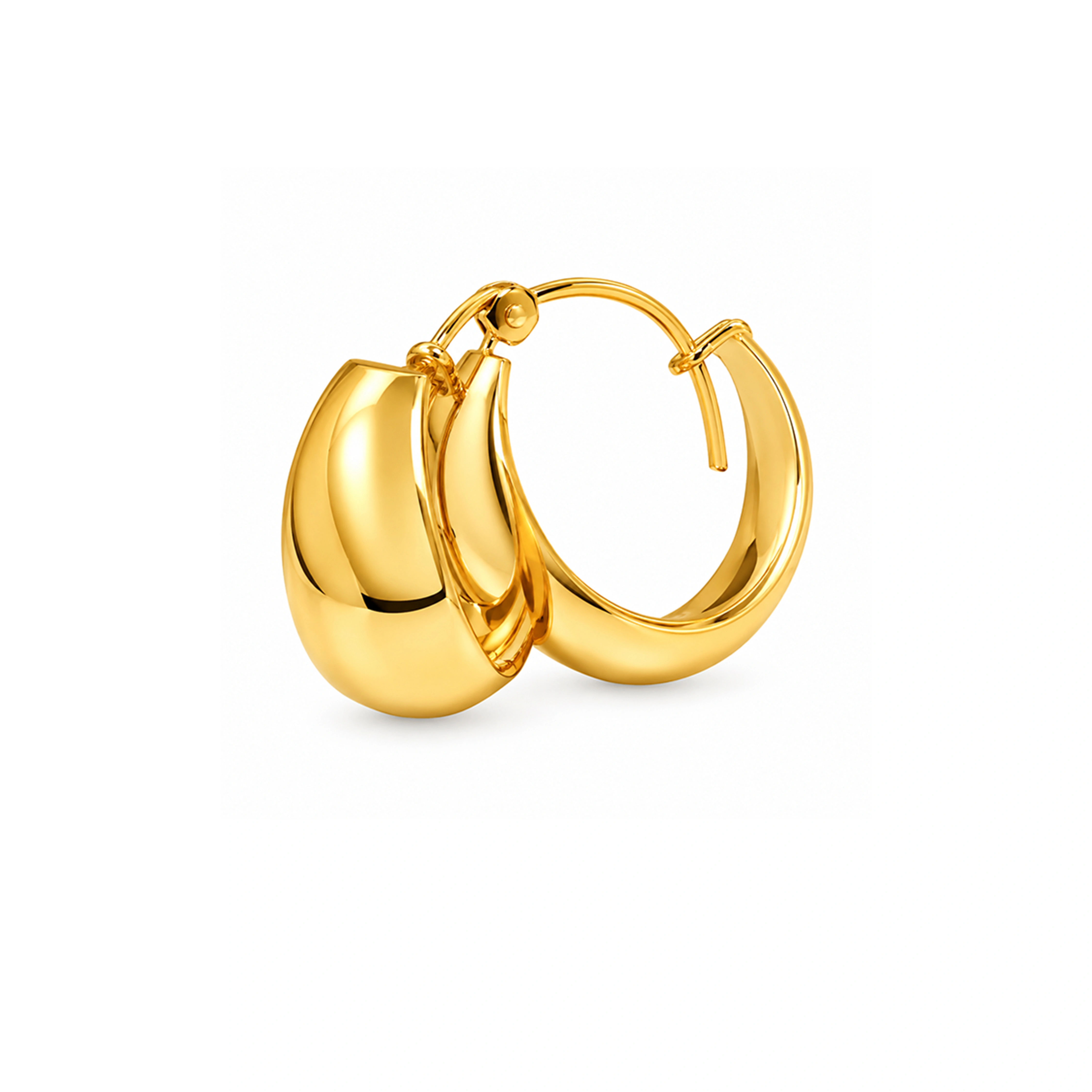 The GTT071110224 Gold Earrings