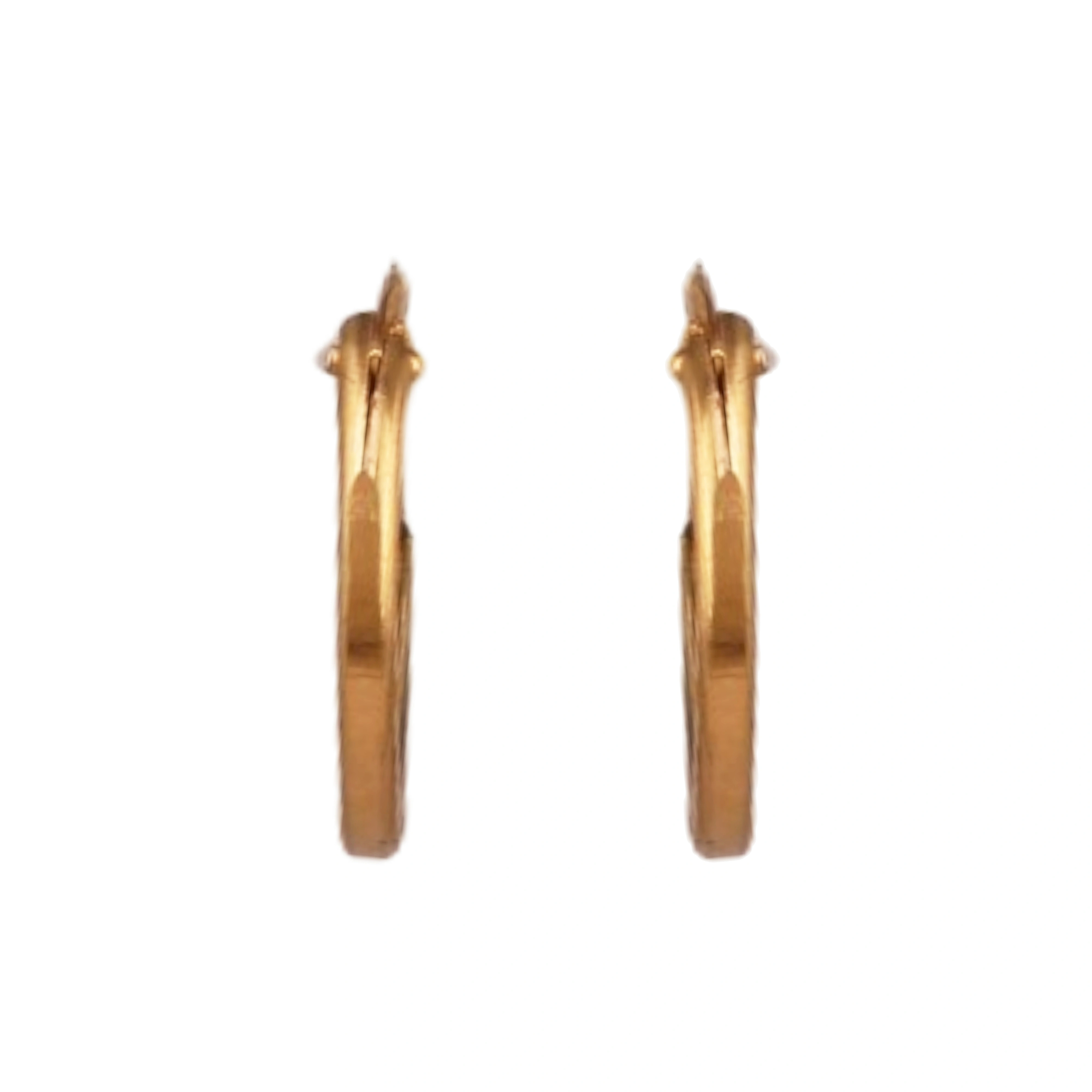 The GTT075500004 Gold Earrings