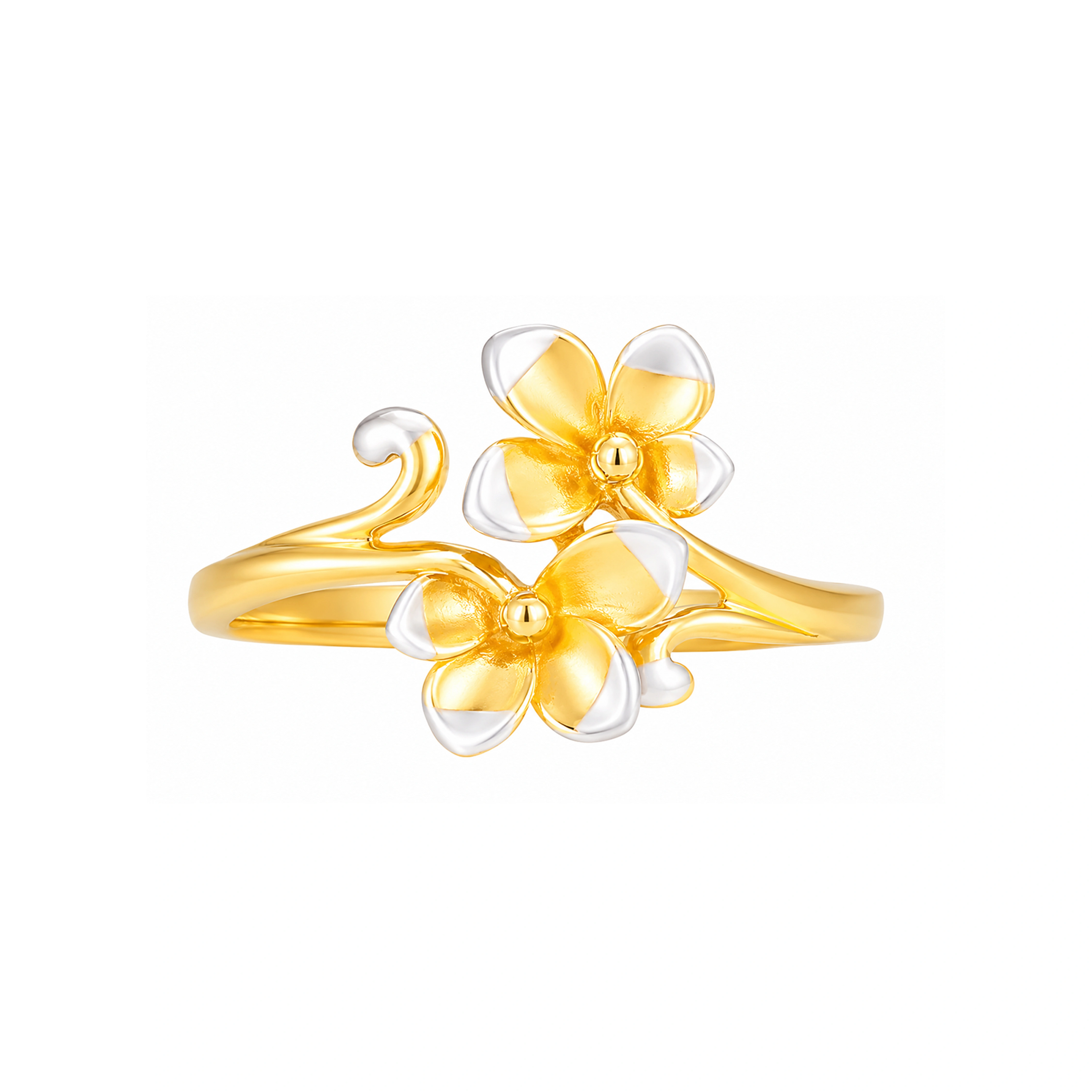 The Gold Ladies Ring ZLR00978